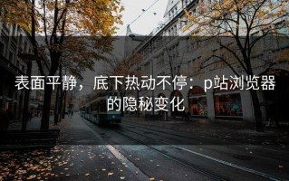表面平静，底下热动不停：p站浏览器的隐秘变化