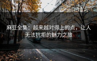 麻豆全集：越来越对得上的点，让人无法抗拒的魅力之旅