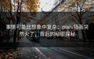 事情可能比想象中复杂：pixiv插画突然火了，背后的秘密探秘