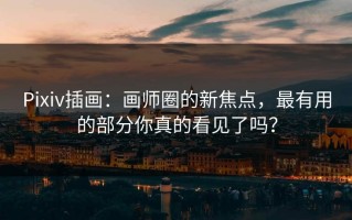 Pixiv插画：画师圈的新焦点，最有用的部分你真的看见了吗？