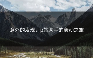 意外的发现，p站助手的轰动之旅