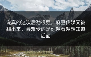 说真的这次后劲很强，麻豆传媒又被翻出来，最难受的是你越看越想知道后面