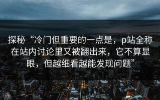 探秘“冷门但重要的一点是，p站全称在站内讨论里又被翻出来，它不算显眼，但越细看越能发现问题”