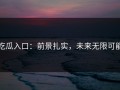 吃瓜入口：前景扎实，未来无限可能