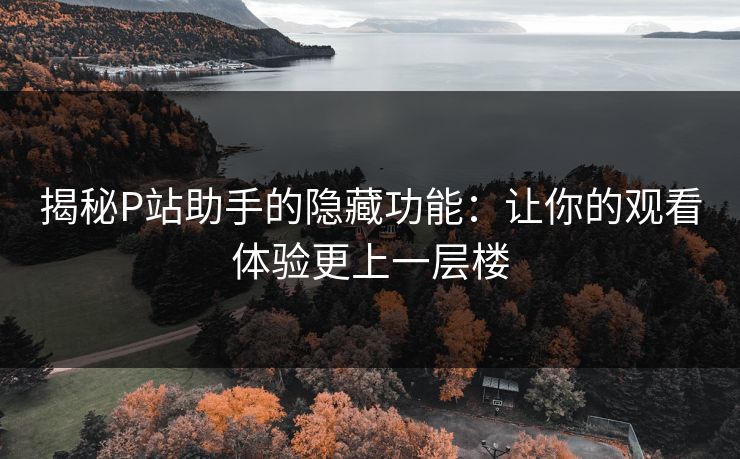 揭秘P站助手的隐藏功能：让你的观看体验更上一层楼-第1张图片-p站影视站 | p站镜像热门视频