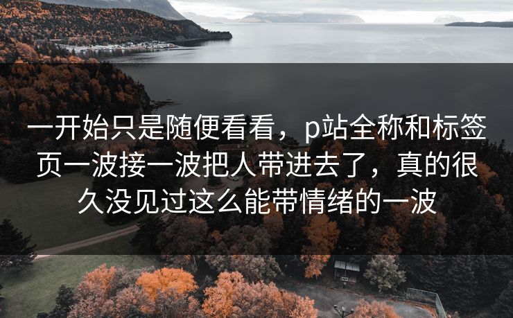 一开始只是随便看看，p站全称和标签页一波接一波把人带进去了，真的很久没见过这么能带情绪的一波-第1张图片-p站影视站 | p站镜像热门视频