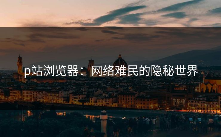 p站浏览器：网络难民的隐秘世界-第1张图片-p站影视站 | p站镜像热门视频